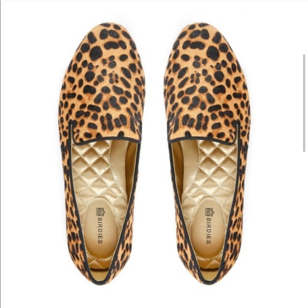 Cheetah starling birdies 9.5